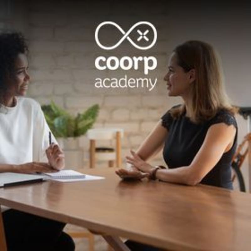 "Professional" and "Performance" Interviews - Part 1